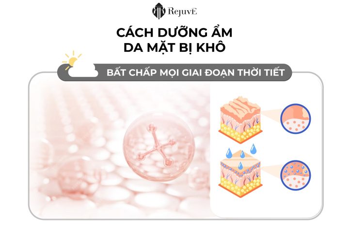 CÁCH DƯỠNG ẨM DA MẶT BỊ KHÔ BẤT CHẤP MỌI THỜI TIẾT